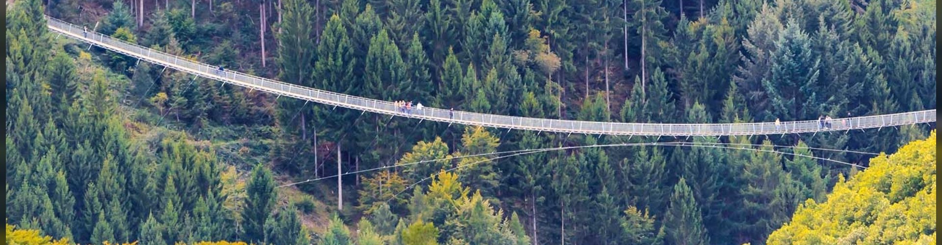 Die Hängeseilbrücke Geierlay ist eine Fußgängerseilbrücke zwischen Sosberg und Mörsdorf.